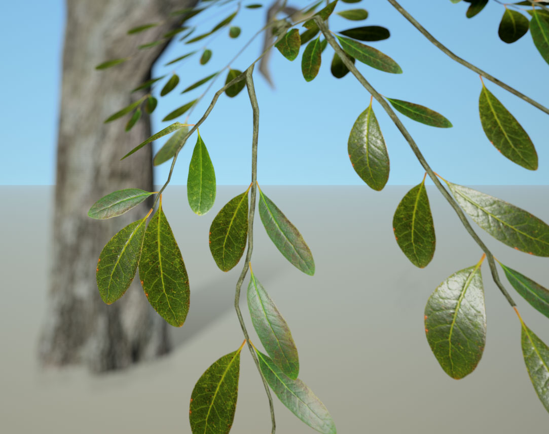 A blurred trunk in the background with green leaves in the foreground that are sharply in focus.