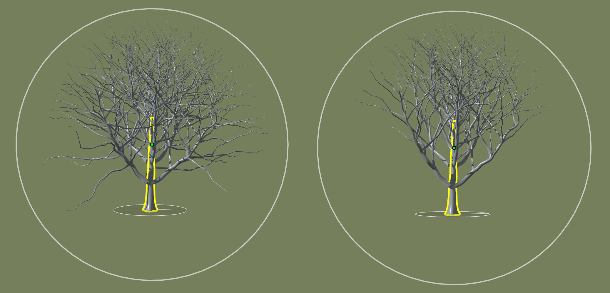 Two trees with shape control enabled. The first tree has branches near the bottom that extend downward. The second tree is the same as the first but with these downward branches removed.