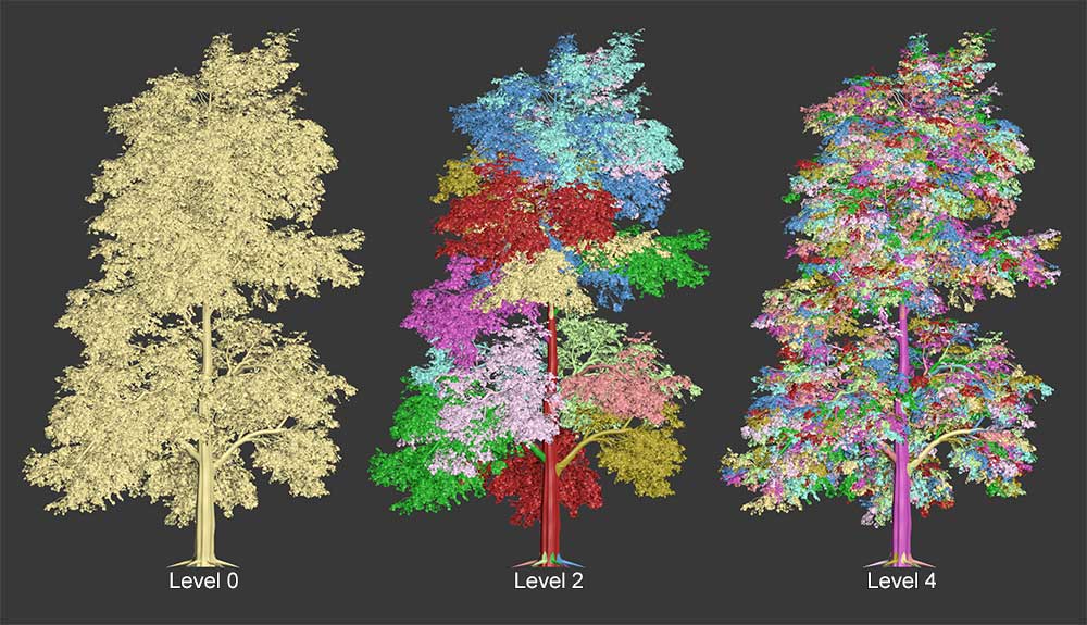 Three trees. One shows a level 0 hierarchy and is all one color. Another shows a level 2 hierarchy and the trunk and various groups of branches are different colors. The third tree shows a level 4 hierarchy and the trunk and small groups of leaves are all different colors.