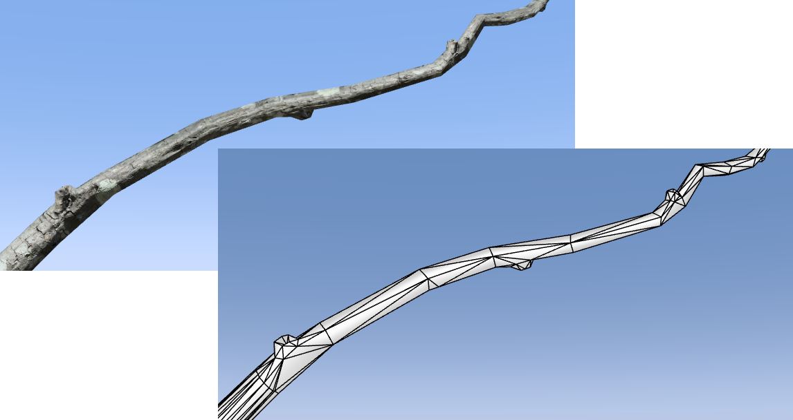 A branch with knots and the corresponding solid wire version of branch, divided into feature vertices.