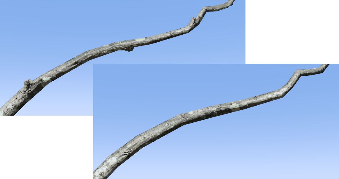 A branch with feature vertices. The knobs are clearly distinguishable along the branch. A second branch without feature vertices has texture but no distinguishable height geometry.