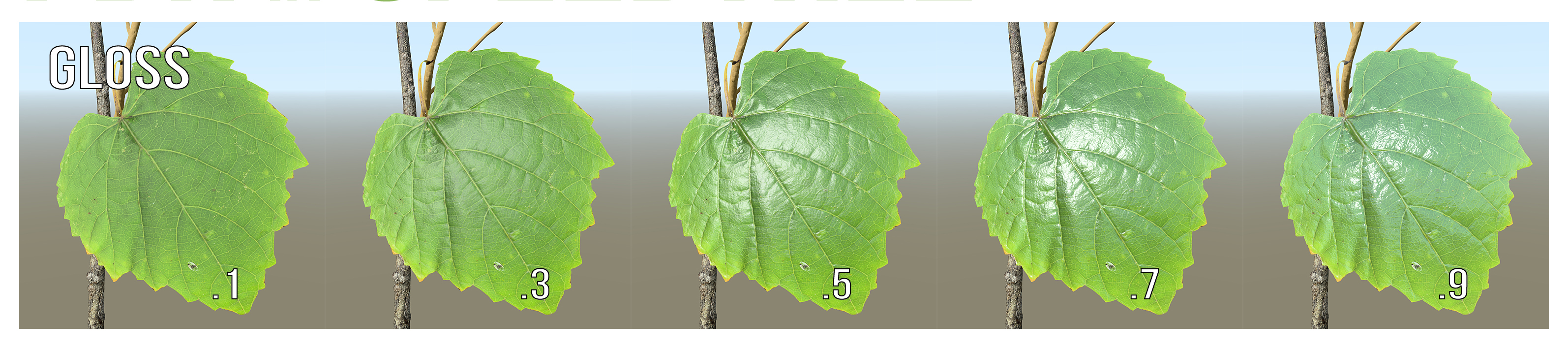 A series of five leaves, each one illustrating a glossiness value labeled .1, .3, .5, .7, and .9 in increasing order. The leaf labeled .1 is duller. The fine details, like the veins of the leaf, are more difficult to see. As the leaves increase in glossiness, the detail increases and the leaves appear much shinier.