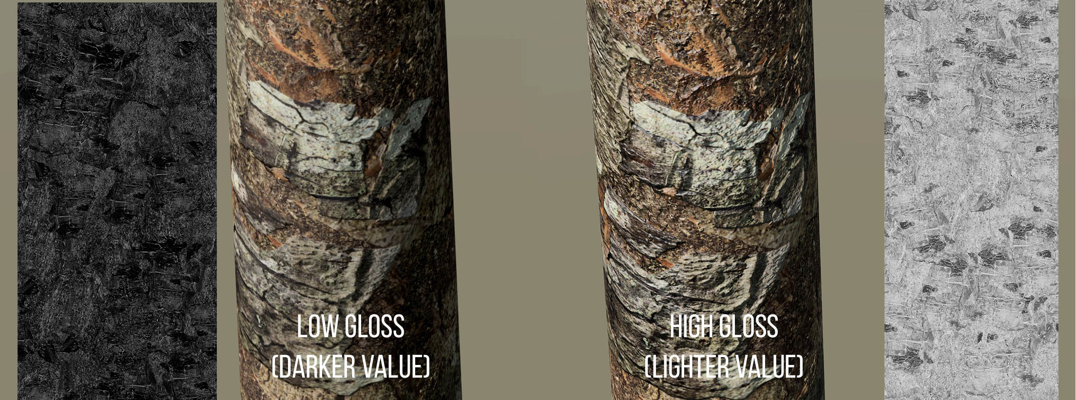 A section of tree bark labeled "Low gloss (darker value)." The texture of the bark is not easily visible. A section of tree bark labeled "High gloss (lighter value)." The texure is easily visible.