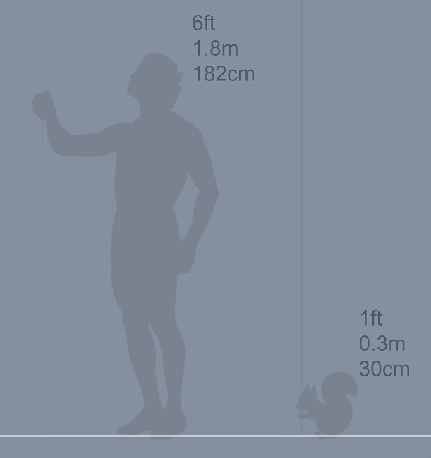 The height indicator. A human figure holds on to the ruler, labeled at 6ft, 1.8m, and 182cm tall. A squirrel also holds on to the height indicator and is labeled at 1ft, 0.3m, and 30cm tall.