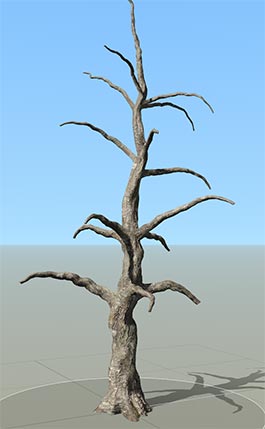 An example SpeedTree produced using Interval mode. It has child branches placed in nodes throughout the parent node (the trunk) of the tree.