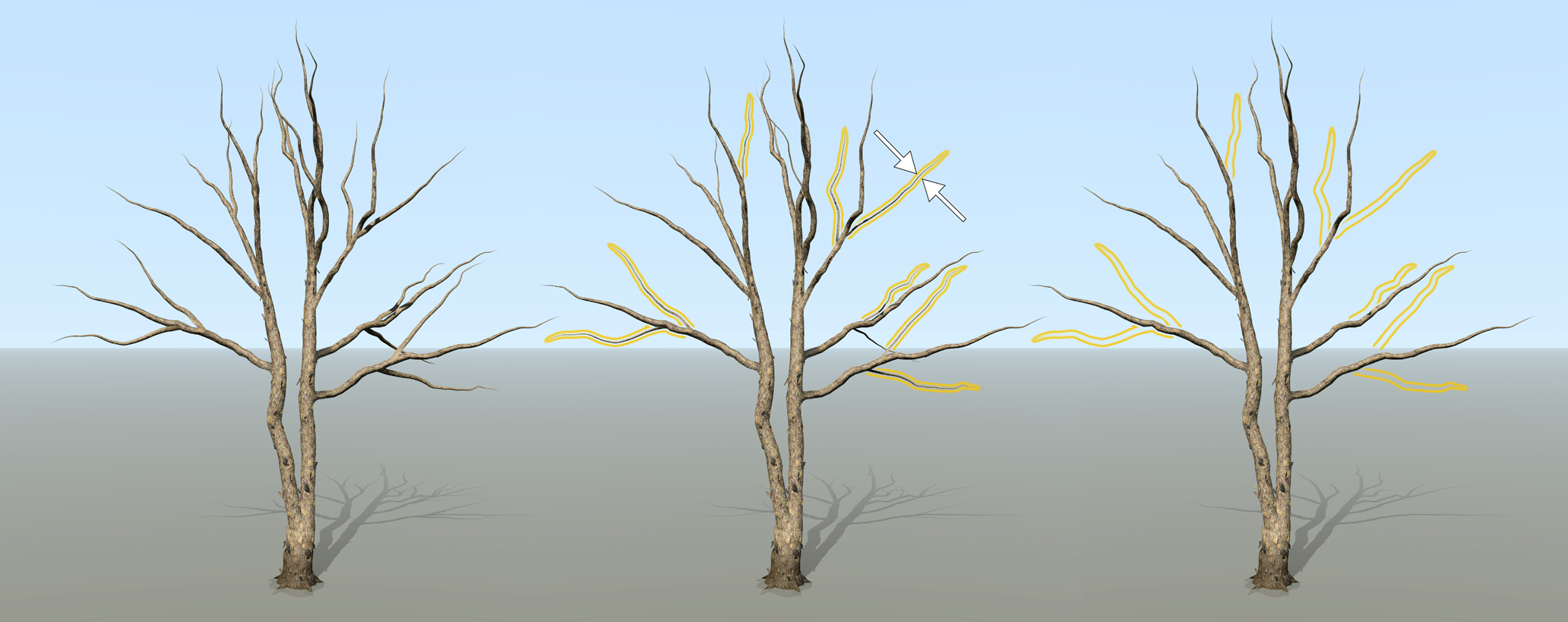 A tree undergoes an LOD transition in three stages, which is shown through three trees. The first tree has many branches, the second tree has some branches shrunk to their spines, and the third tree shows that the shrunken branches have disappeared.