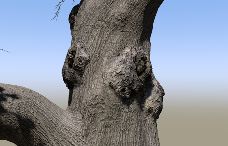 Example of a tree knot made with a Mesh detail generator.