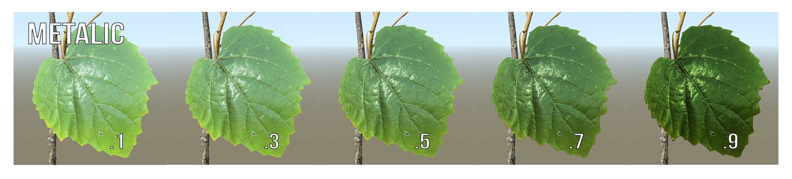 A series of five leaves, each one illustrating a metallic value labeled .1, .3, .5, .7, and .9 in increasing order. The leaf labeled .1 does not appear metallic while the leaf labeled .9 does.