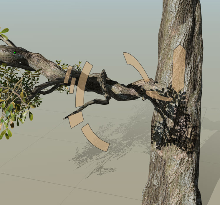 The node editing gizmo over a selected branch.