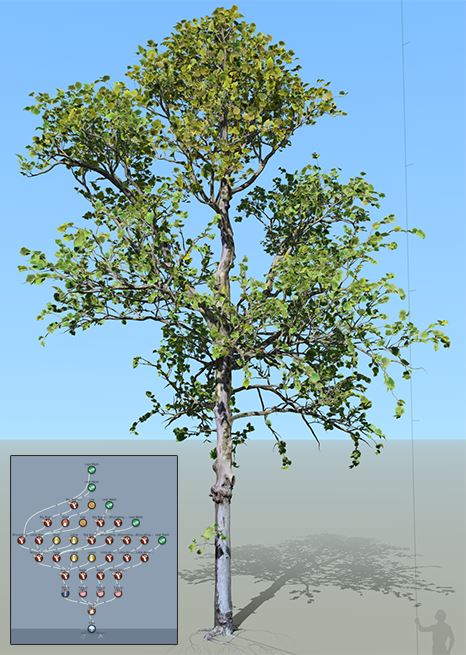 A completed SpeedTree with the corresponding generator hierarchy.