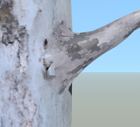 A trunk and a branch with a weld error. The texture of the trunk and the branch do not match.