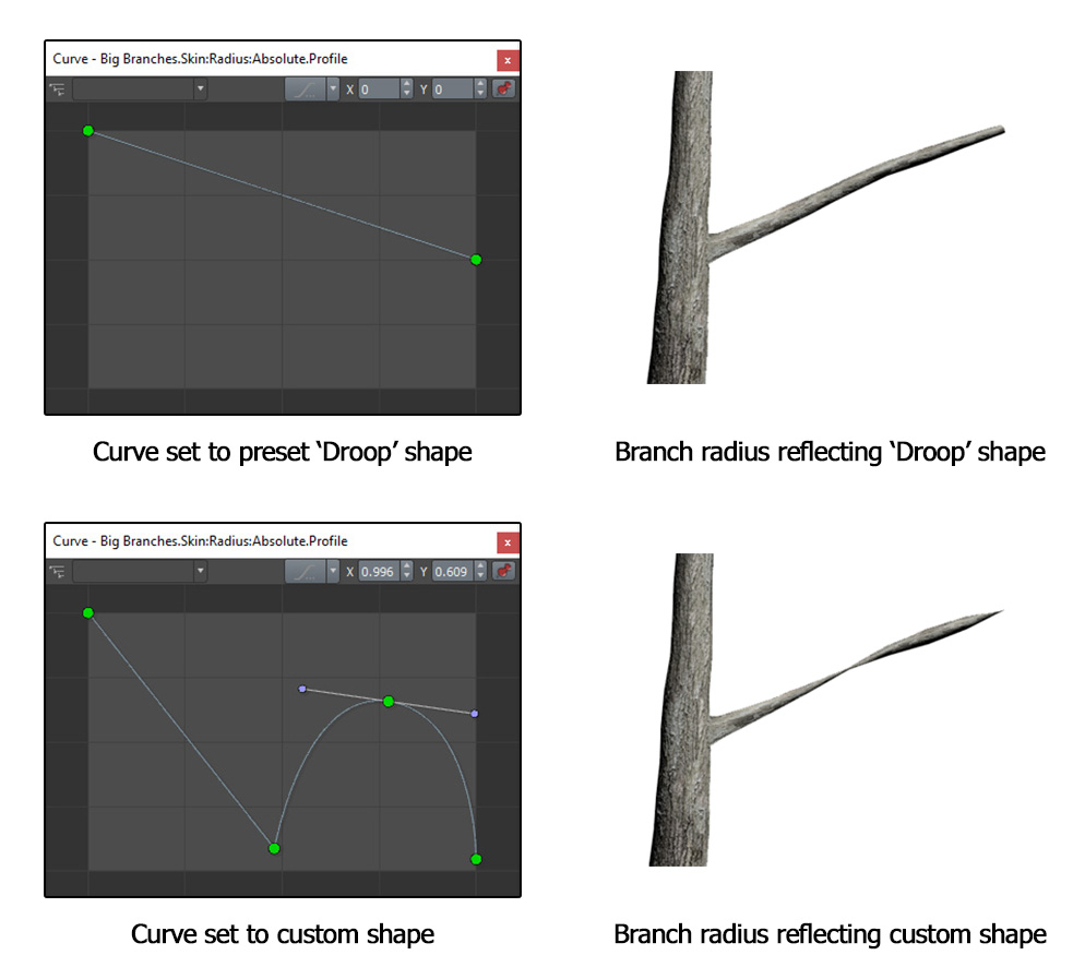 A curve in the curve window preset to "Droop" shape. Next to it is a branch radius reflecting the "Droop" shape. Below, a curve set to custom shape. Next to it is a branch radius reflecting the custom shape.