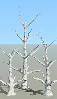 Three trunks and branches created using Proportional Steps mode.