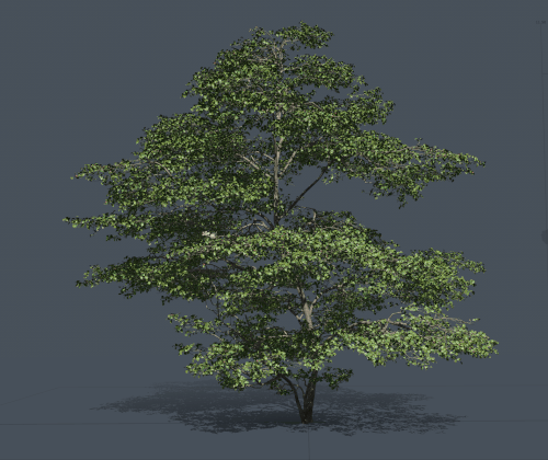 A GIF of a tree's configuration with randomized generators.