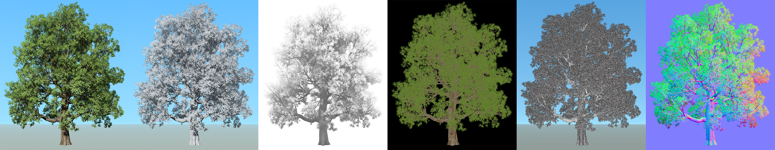 Trees in various render modes.