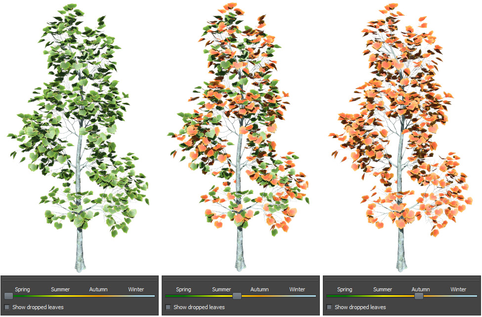 A model of a tree with the Season slider in Spring, a model of a tree with the Season slider at the end of Summer, and a model of a tree with the Season slider in Autumn.