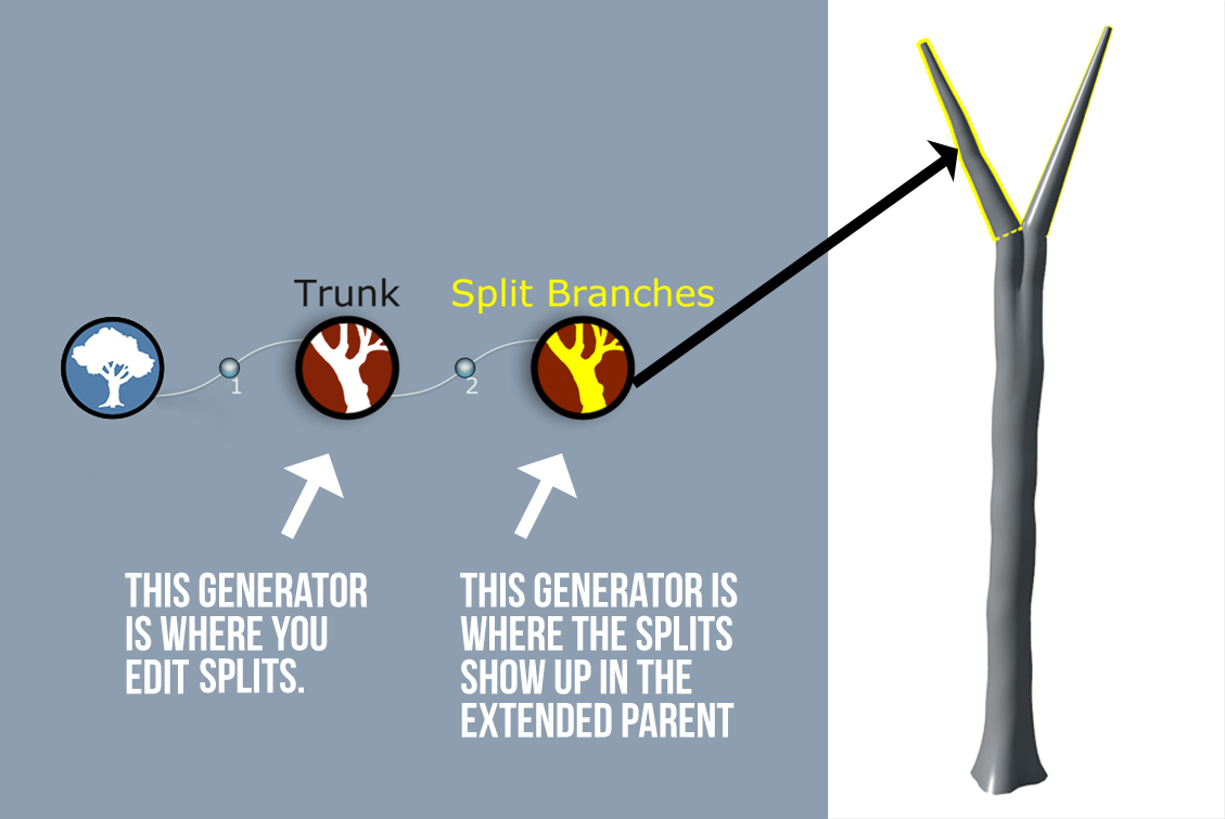 A generation hierarchy with a Tree generator, a Trunk generator, and a Split Branches generator. Next to it is a trunk with split branches. The Trunk generator has an arrow pointing to it and is labeled "This generator is where you edit splits." The Split Branches generator also has an arrow pointing to it and is labeled "This generator is where the splits show up in the extended parent." There is an arrow pointing from the Split Branches generator to the first branch in the split on the tree.