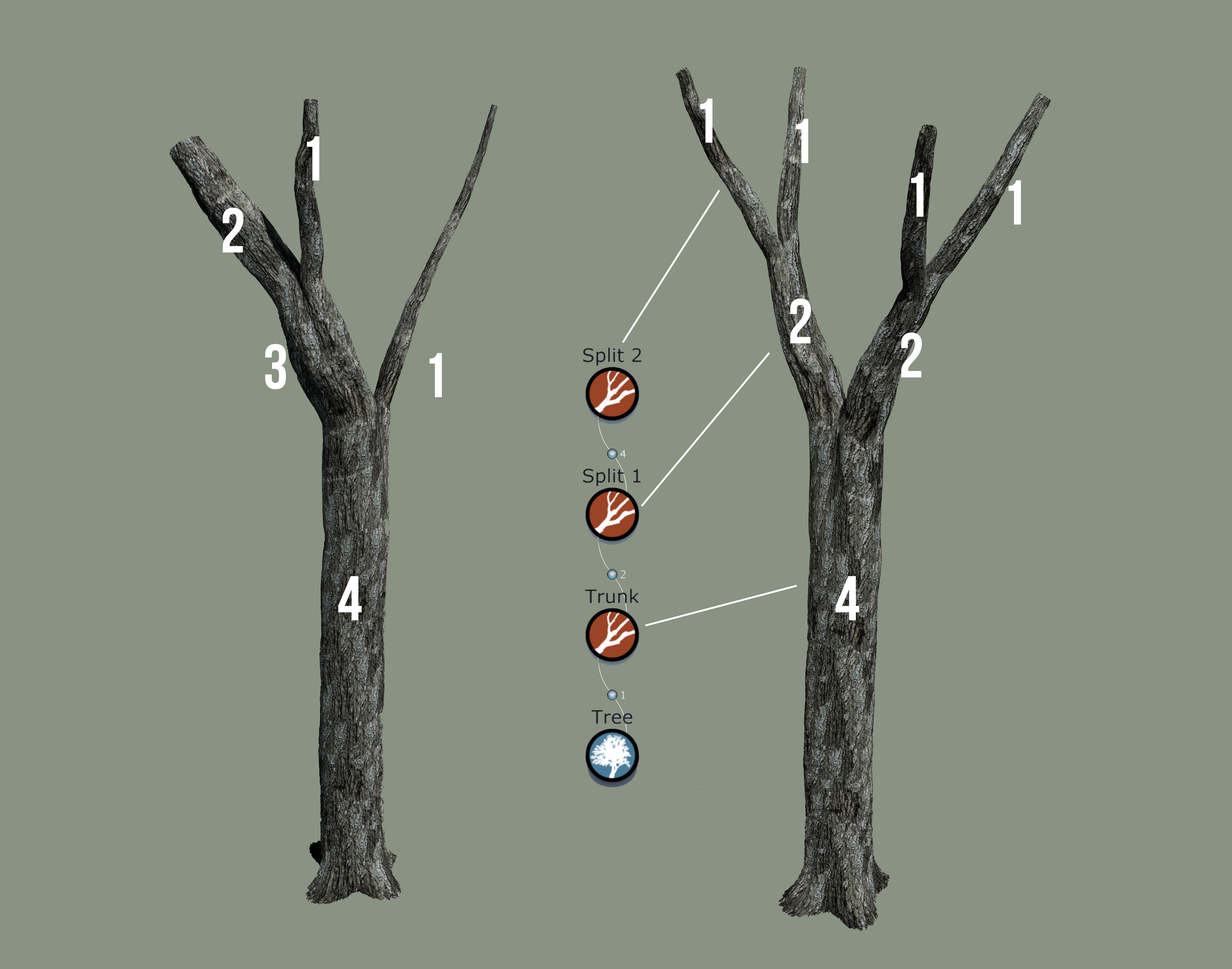 Two trees, showing it before and after it has been split. The before tree has the trunk and each branch labeled with numbers 1 through 4. The second tree shows how branches 1 and 2 have been split by labeling the tree with four 1s and two 2s.