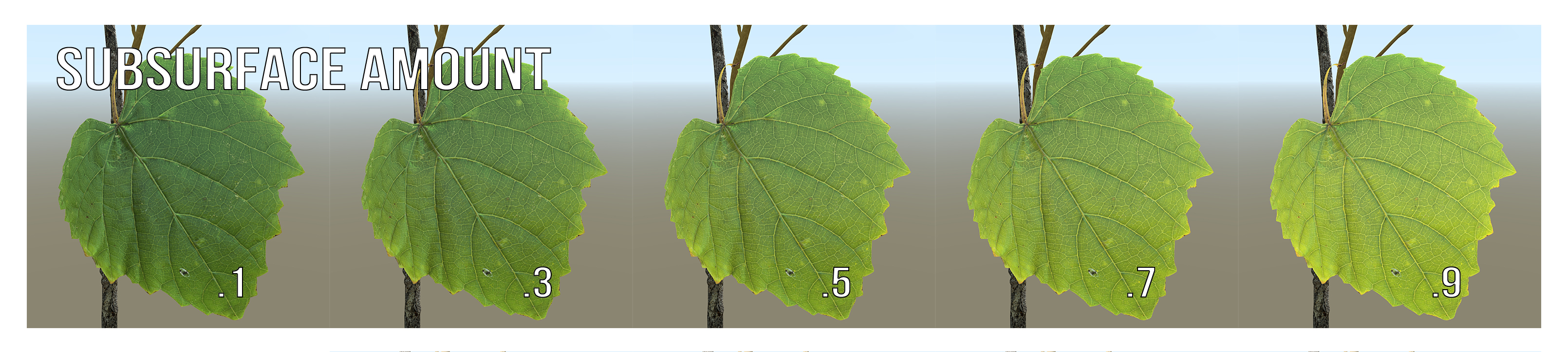 A series of five leaves, each one illustrating a subsurface amount labeled .1, .3, .5, .7, and .9 in increasing order. The leaf labeled .1 is dark, with little light appearing to shine through. The leaf labeled .9 is lighter, with light appearing to shine through it.