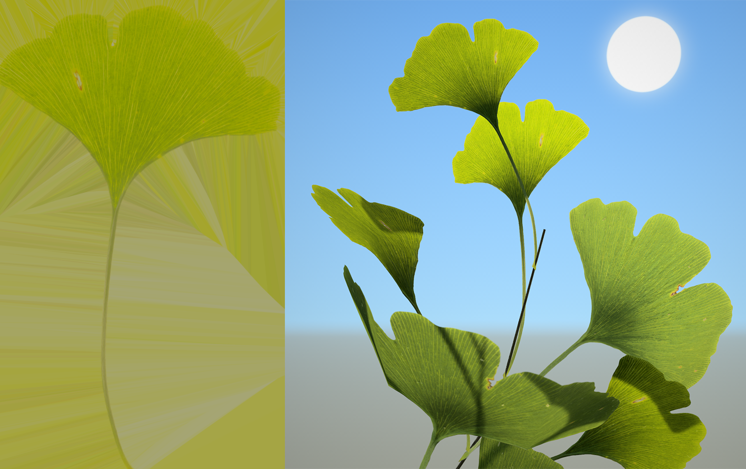 A subsurface map of a leaf with a thin, bright, and porous surface. A view of the leaf in the subsurface map in the Tree Window, with the sun in the background. It shines through the leaves, making them lighter in color.