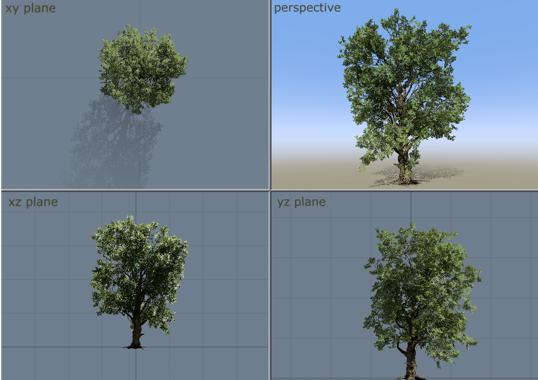 The viewport layout with four projection types.