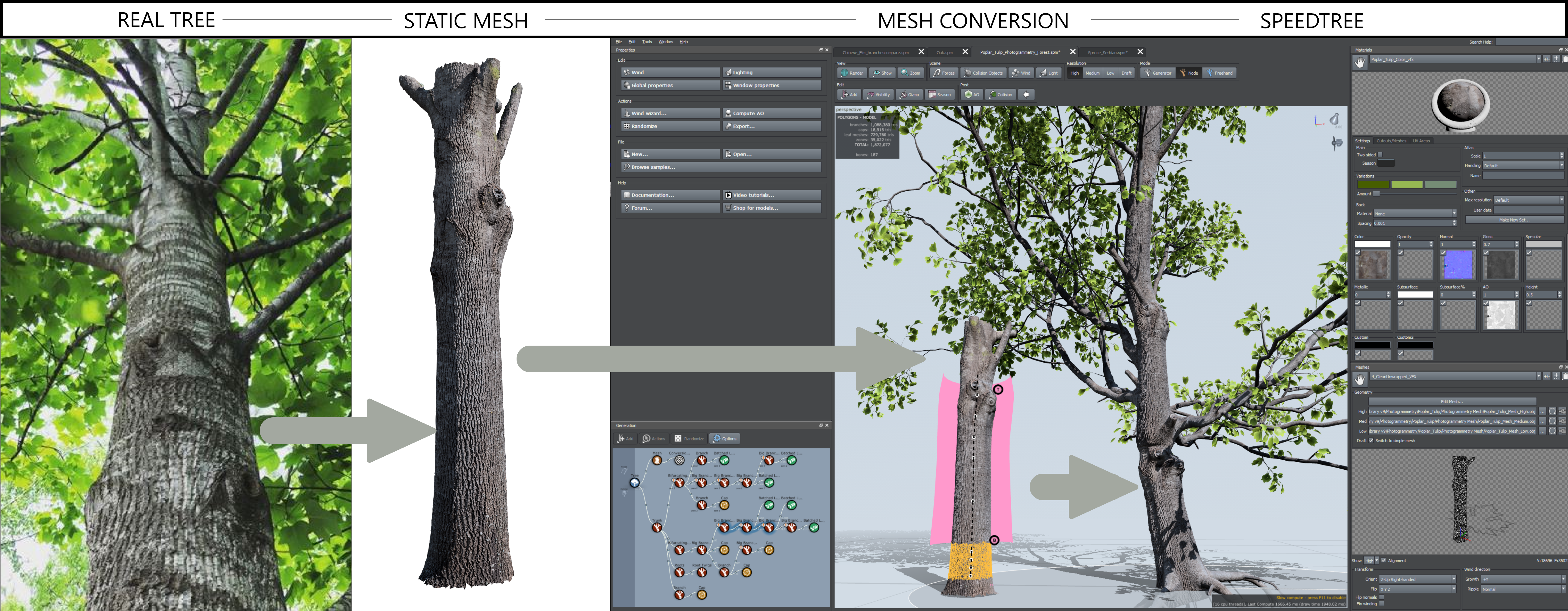 A real tree followed by its static mesh, showing the process of mesh conversion in the SpeedTree Modeler.