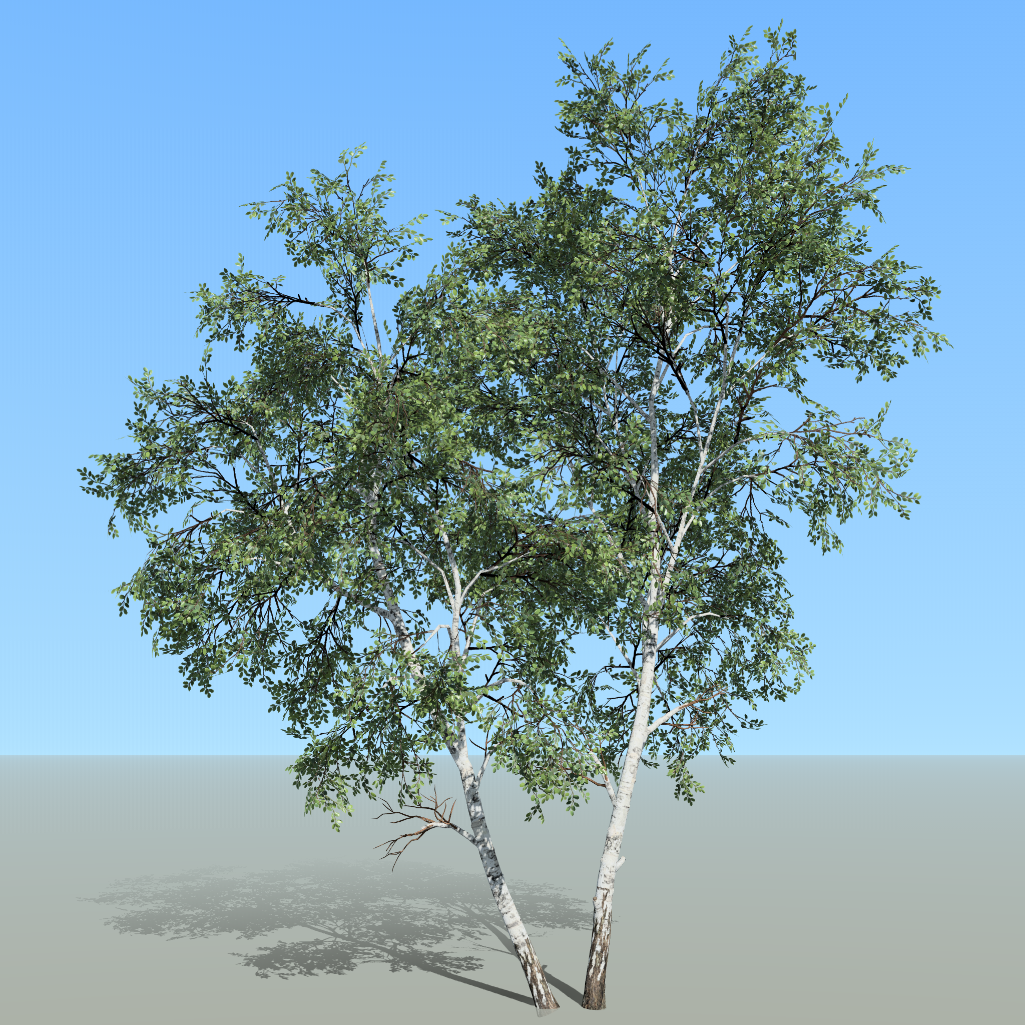 A white birch tree exemplifies the effect of static lighting through lightmap UVs.