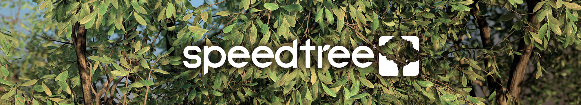 The SpeedTree logo against a background of foliage.