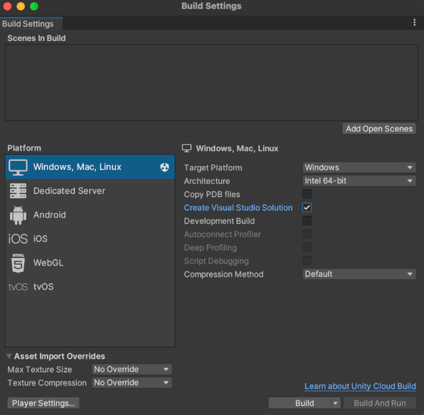Build Settings Panel with Create Visual Studio Solution selected