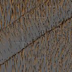 Strands spread apart in Spread mode.