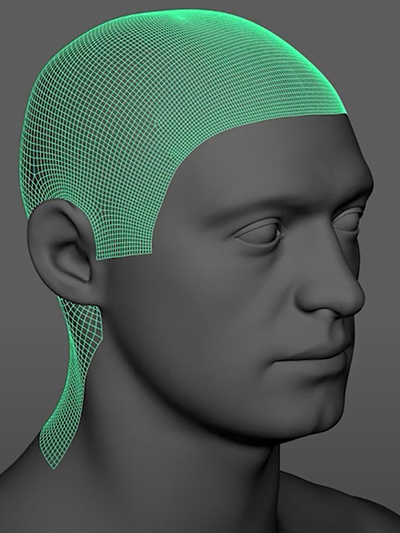 A character mesh with a growth mesh on the head and neck.